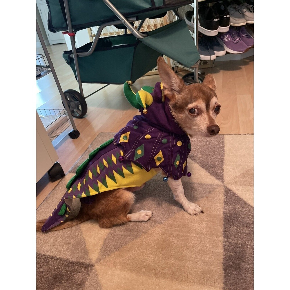 Mardi Paws‎ Dragon Dog Halloween Costume from PamPet/PuppeLove - Size XS